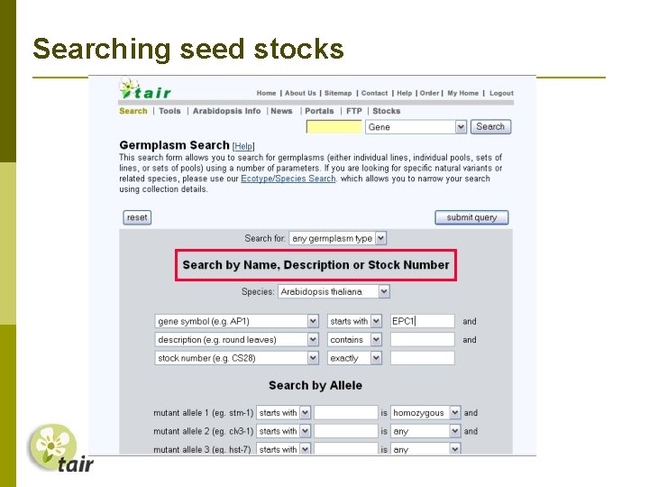 Searching seed stocks 