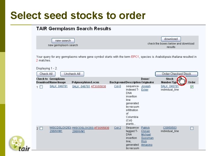 Select seed stocks to order 