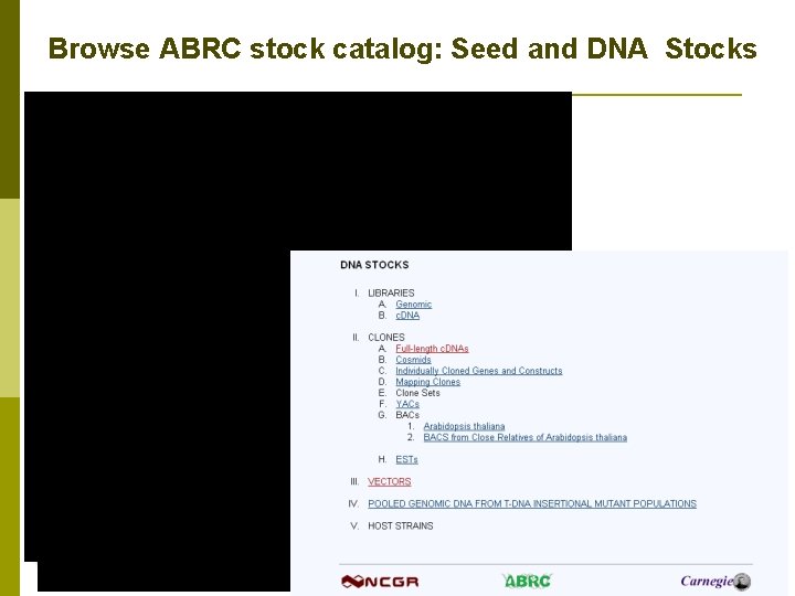 Browse ABRC stock catalog: Seed and DNA Stocks 