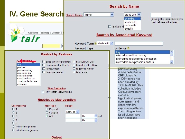 IV. Gene Search 