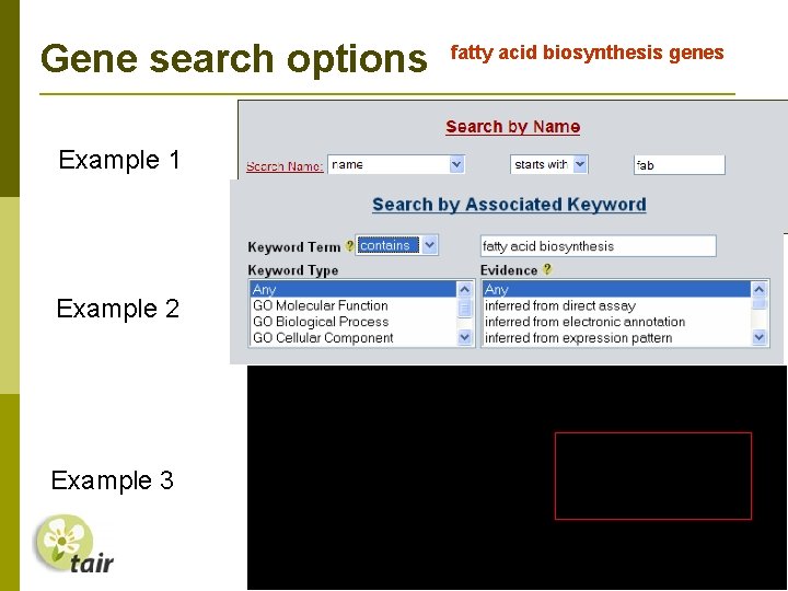 Gene search options Example 1 Example 2 Example 3 fatty acid biosynthesis genes 