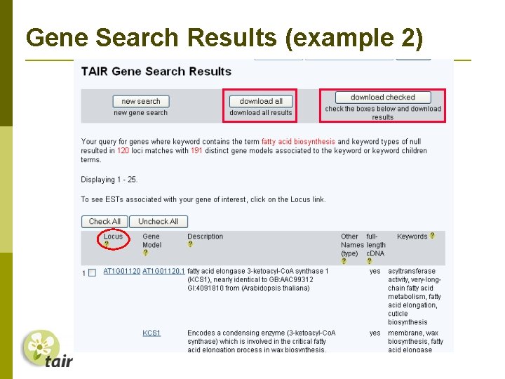 Gene Search Results (example 2) 