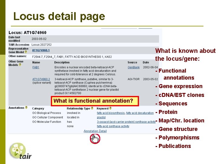 Locus detail page What is known about the locus/gene: - Functional annotations - Gene