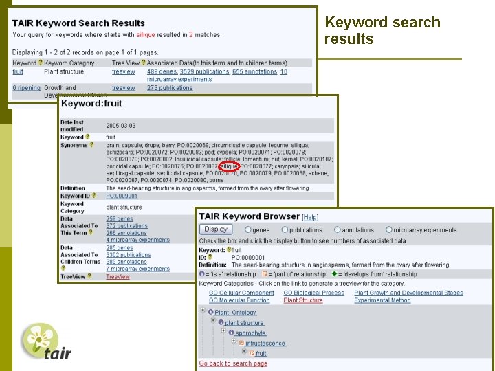Keyword search results 