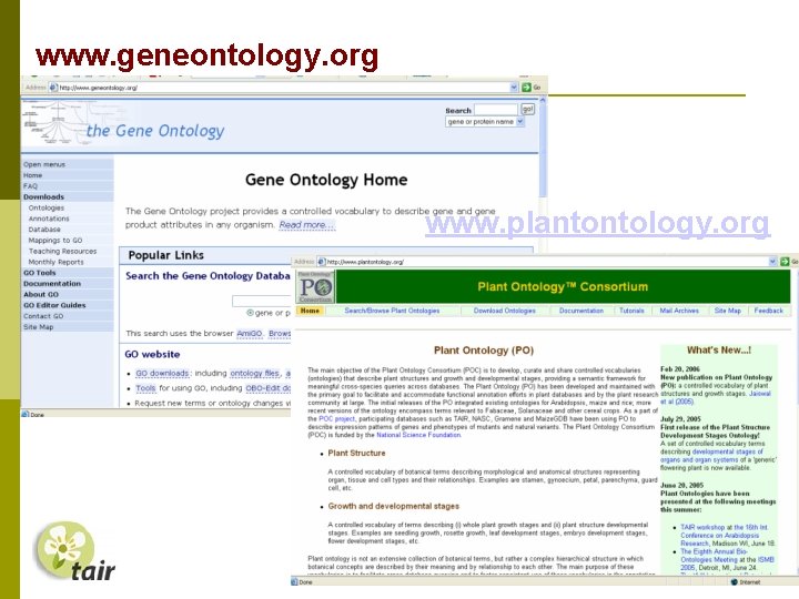 www. geneontology. org www. plantontology. org 