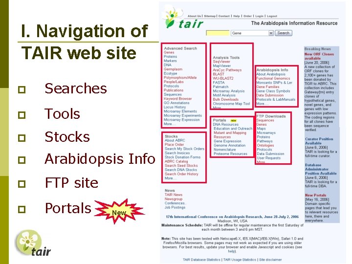 I. Navigation of TAIR web site Searches Tools Stocks Arabidopsis Info FTP site Portals