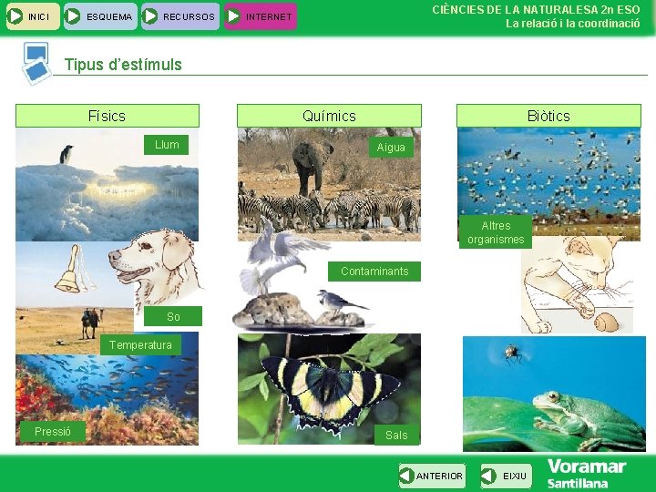 INICI ESQUEMA RECURSOS CIÈNCIES DE LA NATURALESA 2 n ESO La relació i la