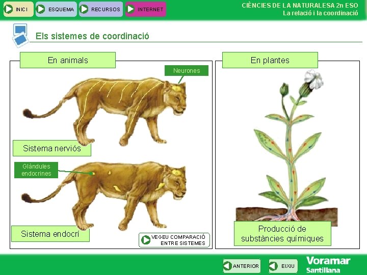 INICI ESQUEMA RECURSOS CIÈNCIES DE LA NATURALESA 2 n ESO La relació i la