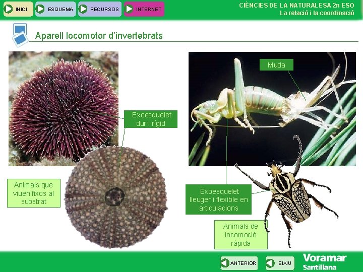 INICI ESQUEMA RECURSOS INTERNET CIÈNCIES DE LA NATURALESA 2 n ESO La relació i