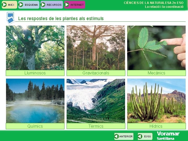 INICI ESQUEMA RECURSOS CIÈNCIES DE LA NATURALESA 2 n ESO La relació i la