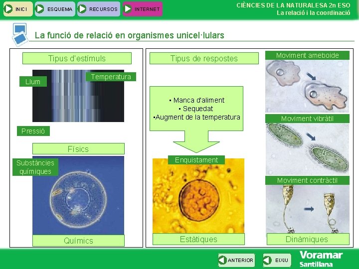 INICI ESQUEMA RECURSOS CIÈNCIES DE LA NATURALESA 2 n ESO La relació i la