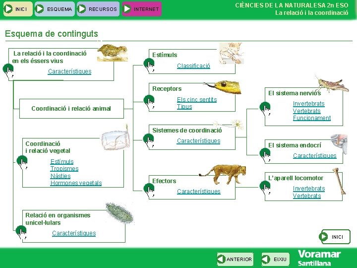 INICI ESQUEMA RECURSOS CIÈNCIES DE LA NATURALESA 2 n ESO La relació i la