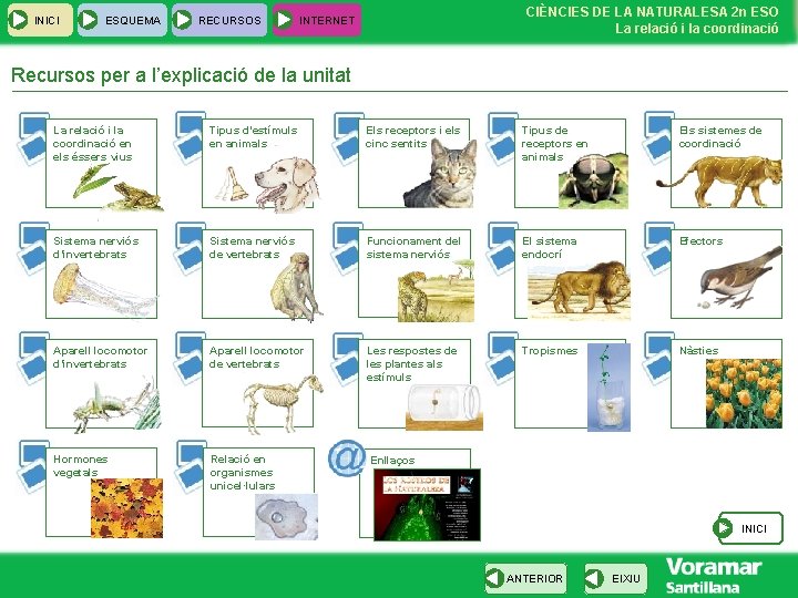 INICI ESQUEMA RECURSOS CIÈNCIES DE LA NATURALESA 2 n ESO La relació i la