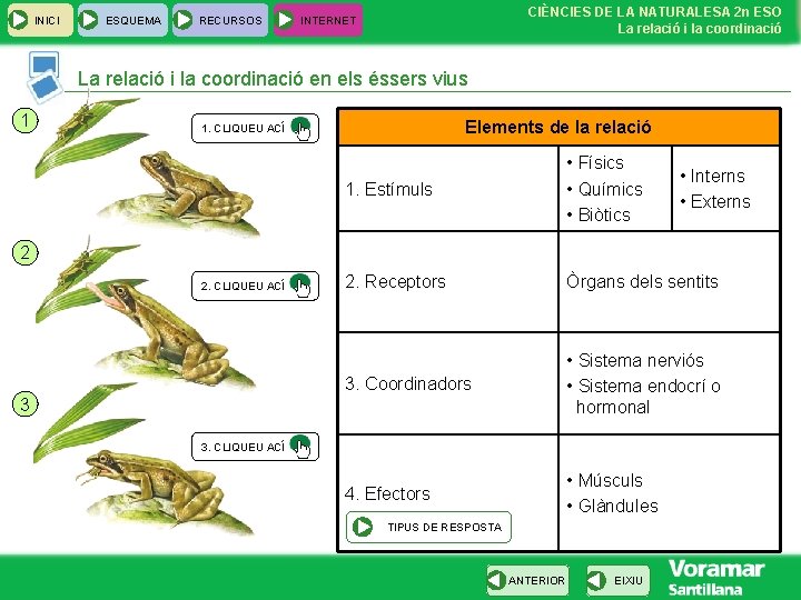 INICI ESQUEMA RECURSOS CIÈNCIES DE LA NATURALESA 2 n ESO La relació i la