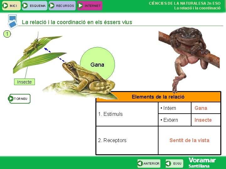 INICI ESQUEMA RECURSOS CIÈNCIES DE LA NATURALESA 2 n ESO La relació i la