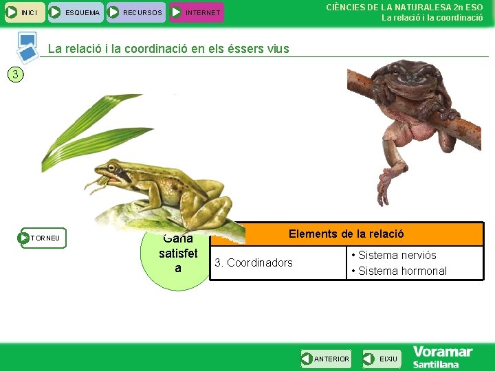 INICI ESQUEMA RECURSOS CIÈNCIES DE LA NATURALESA 2 n ESO La relació i la