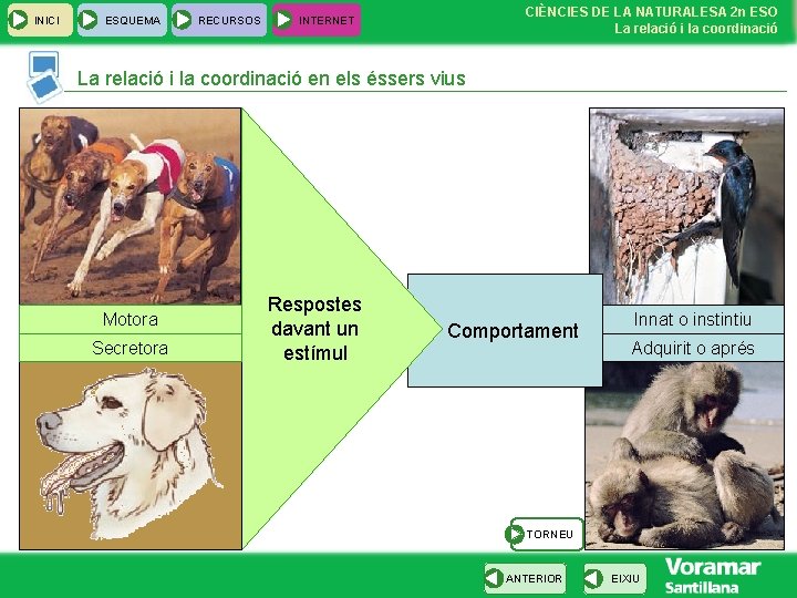 INICI ESQUEMA RECURSOS CIÈNCIES DE LA NATURALESA 2 n ESO La relació i la