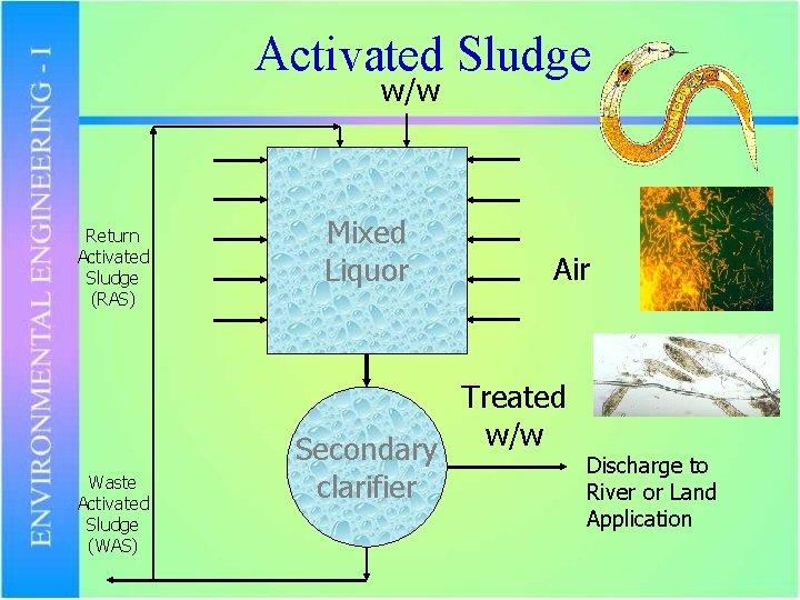 Activated Sludge w/w Return Activated Sludge (RAS) Waste Activated Sludge (WAS) Mixed Liquor Air