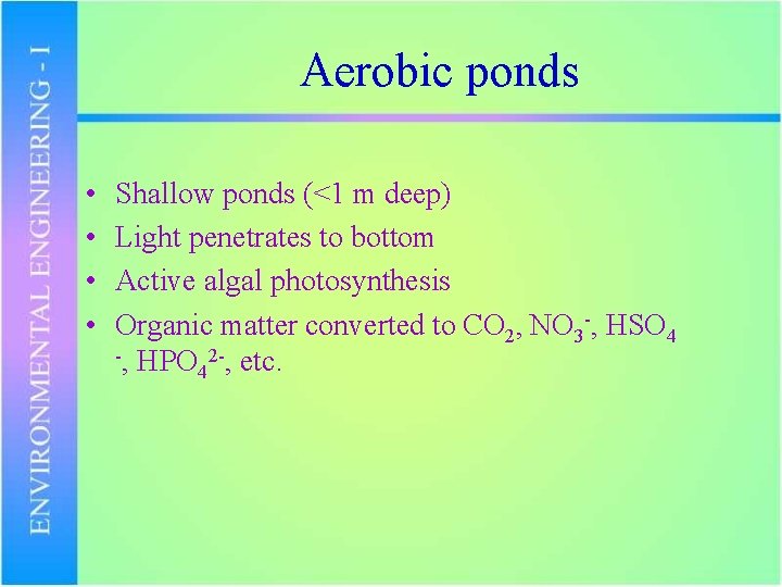 Aerobic ponds • • Shallow ponds (<1 m deep) Light penetrates to bottom Active