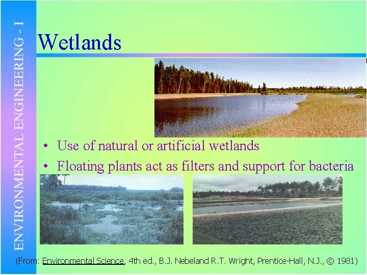 Wetlands • Use of natural or artificial wetlands • Floating plants act as filters