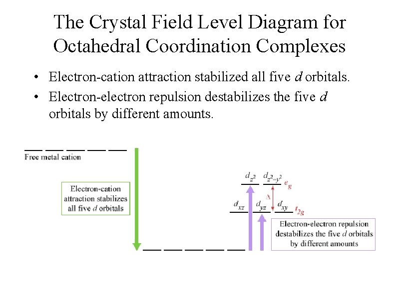 The Crystal Field Level Diagram for Octahedral Coordination Complexes • Electron-cation attraction stabilized all