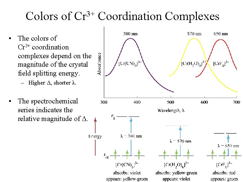 Colors of Cr 3+ Coordination Complexes • The colors of Cr 3+ coordination complexes