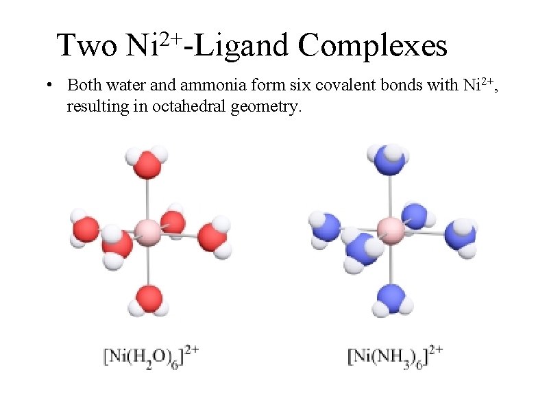 2+ Two Ni -Ligand Complexes • Both water and ammonia form six covalent bonds