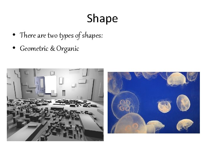 Shape • There are two types of shapes: • Geometric & Organic 