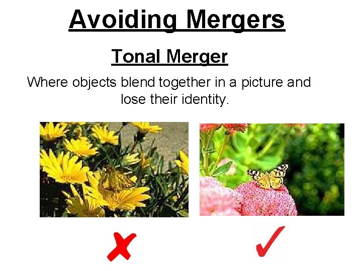 Avoiding Mergers Tonal Merger Where objects blend together in a picture and lose their Avoiding Mergers Tonal Merger Where objects blend together in a picture and lose their
