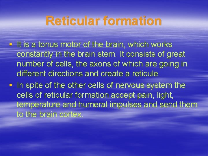 Reticular formation § It is a tonus motor of the brain, which works constantly