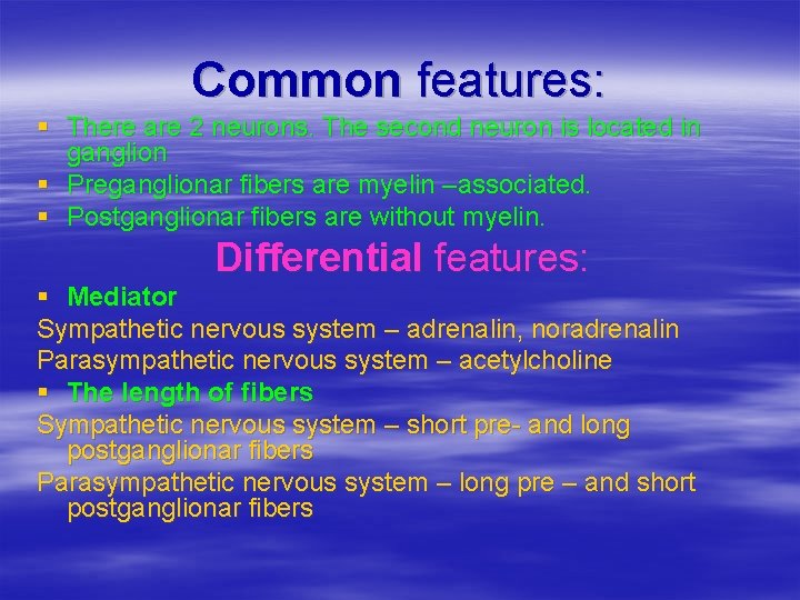 Common features: § There are 2 neurons. The second neuron is located in ganglion