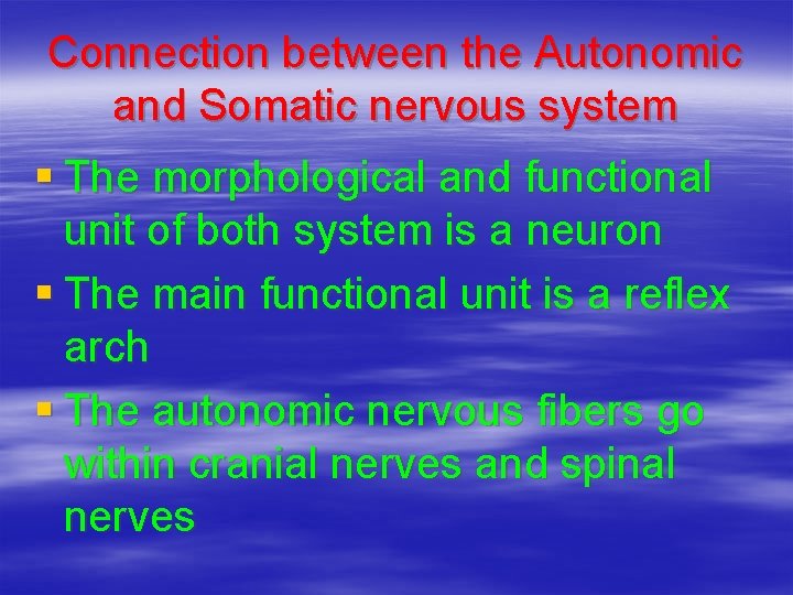 Connection between the Autonomic and Somatic nervous system § The morphological and functional unit