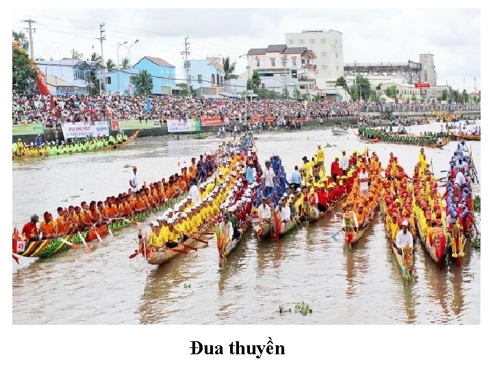 Đua thuyền Đua thuyền