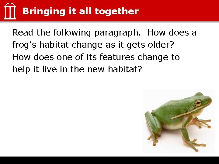 Bringing it all together Read the following paragraph. How does a frog’s habitat change