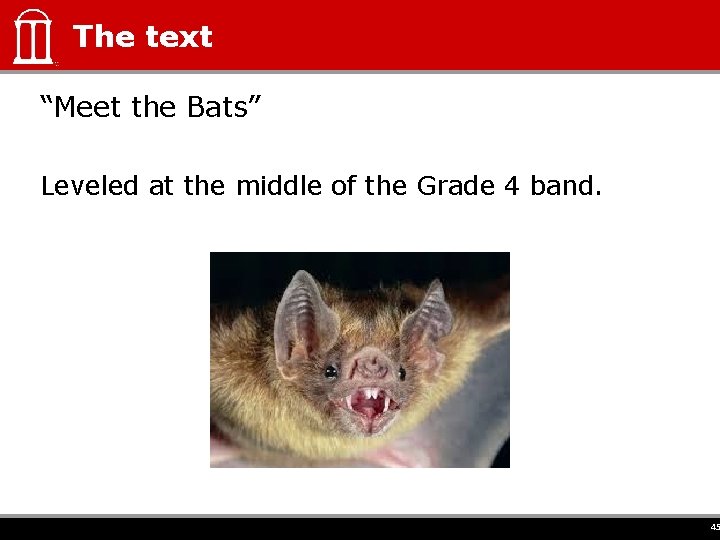 The text “Meet the Bats” Leveled at the middle of the Grade 4 band.