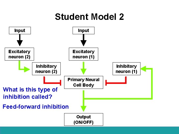 Student Model 2 Input Excitatory neuron (2) Excitatory neuron (1) Inhibitory neuron (2) What