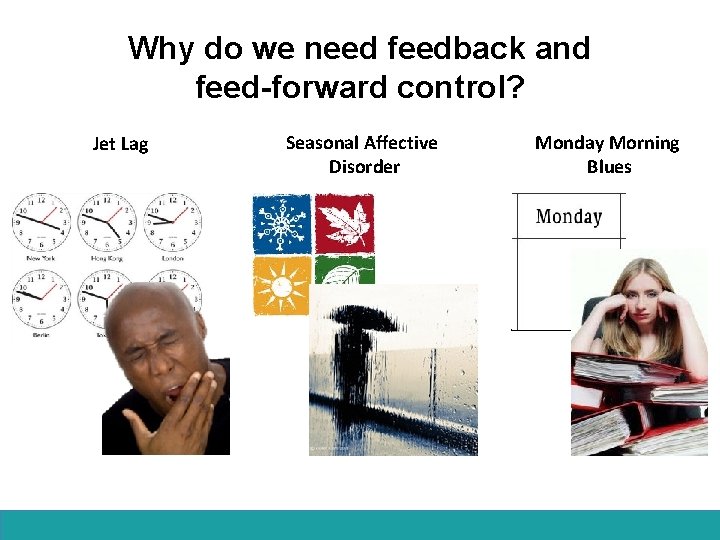 Why do we need feedback and feed-forward control? Jet Lag Seasonal Affective Disorder Monday