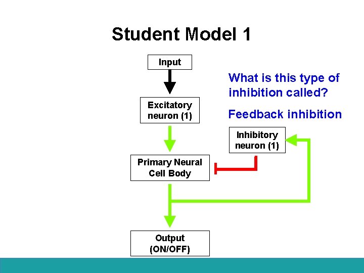 Student Model 1 Input What is this type of inhibition called? Excitatory neuron (1)
