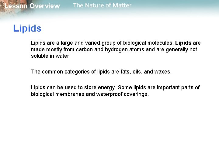 Lesson Overview The Nature of Matter Lipids are a large and varied group of Lesson Overview The Nature of Matter Lipids are a large and varied group of