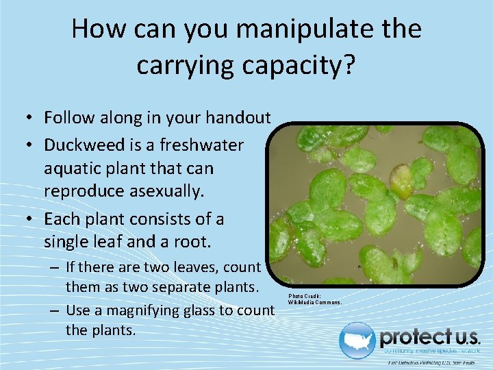 How can you manipulate the carrying capacity? • Follow along in your handout •