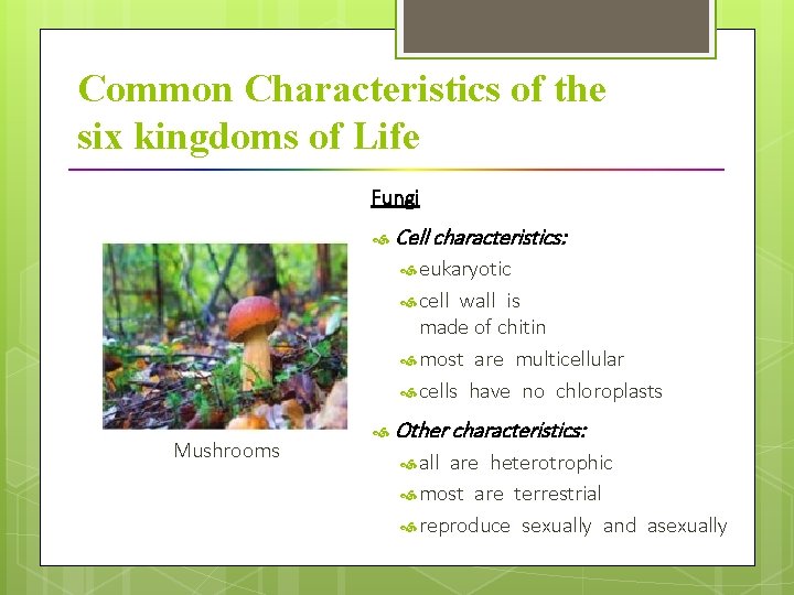 Common Characteristics of the six kingdoms of Life Fungi Cell characteristics: eukaryotic cell wall is  made