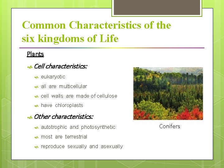 Common Characteristics of the six kingdoms of Life Plants Cell characteristics: eukaryotic all are multicellular cell walls are made