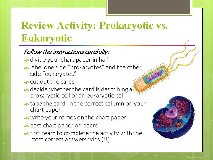 Review Activity: Prokaryotic vs. Eukaryotic Follow the instructions carefully: divide your chart paper in