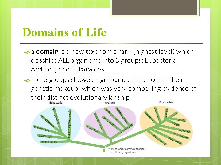 Domains of Life a domain is a new taxonomic rank (highest level) which classifies