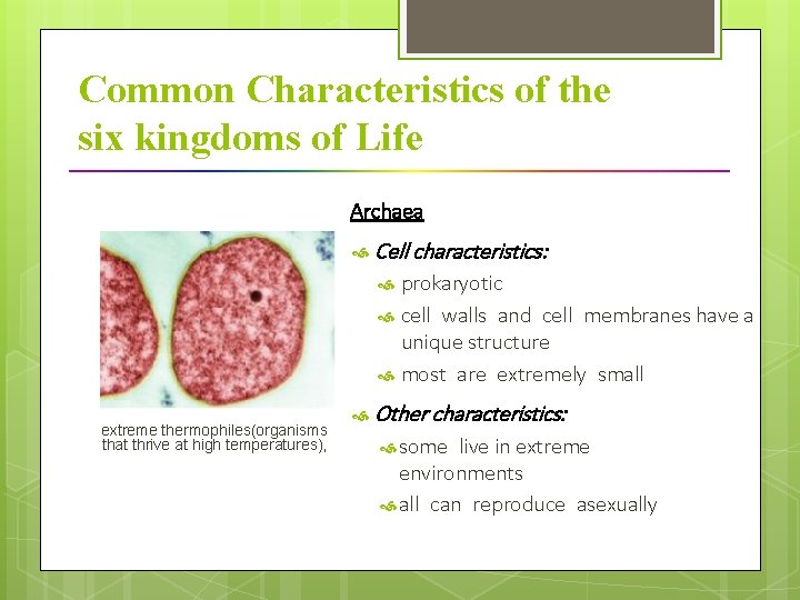 Common Characteristics of the six kingdoms of Life Archaea Cell characteristics: prokaryotic cell walls and cell membranes have