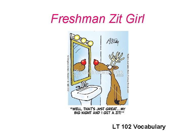 Freshman Zit Girl LT 102 Vocabulary 