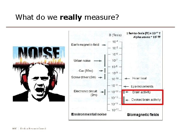 What do we really measure? What do we really measure?