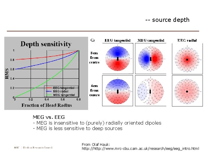 -- source depth MEG vs. EEG - MEG is insensitive to (purely) radially oriented -- source depth MEG vs. EEG - MEG is insensitive to (purely) radially oriented