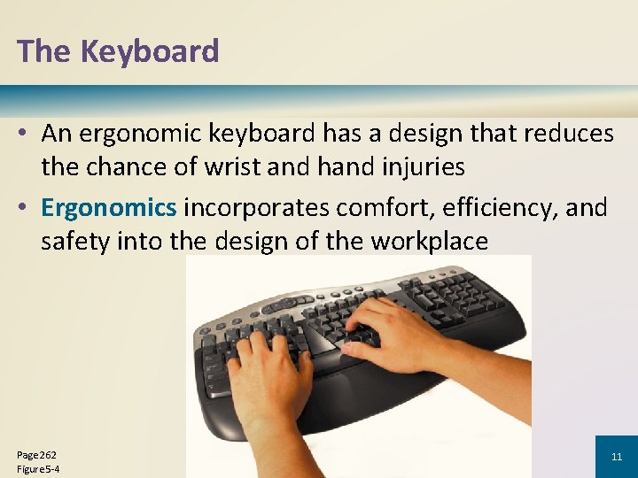 The Keyboard • An ergonomic keyboard has a design that reduces the chance of