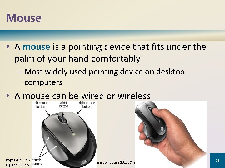 Mouse • A mouse is a pointing device that fits under the palm of